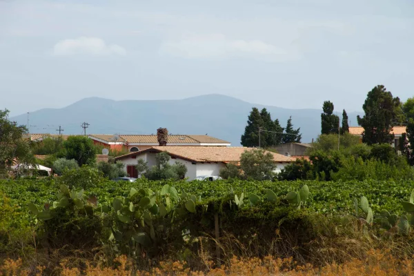 La nostra struttura fra i vigneti del carignano